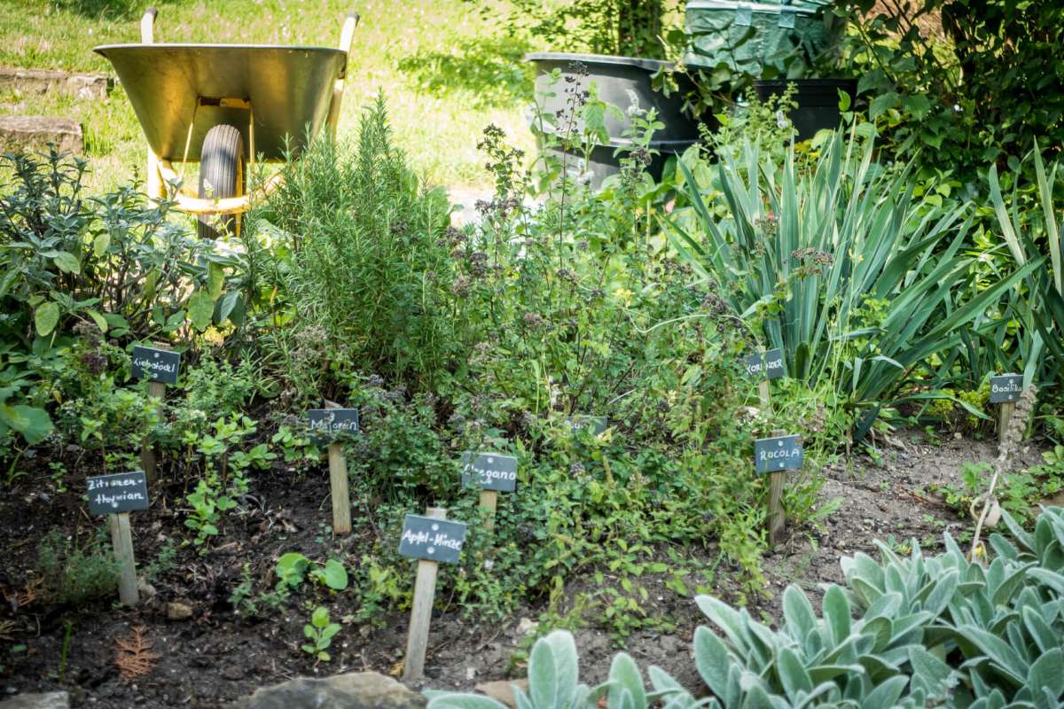 Spargel mit Gartenkräutern zu spritzigem Kerner | blog | Weingut Geiger ...